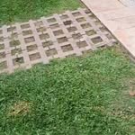 instagram - [Video]