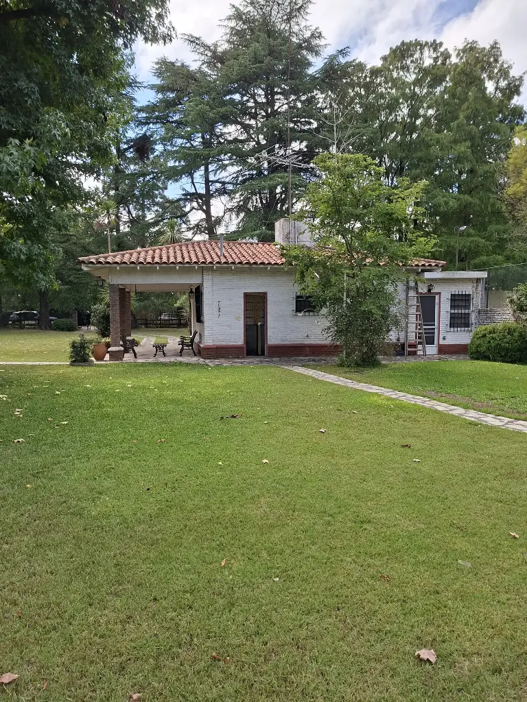 Tronador 200_16.webp