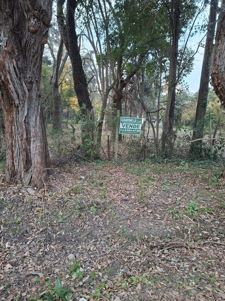 Lote 1.jpg
