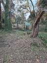 Lote 2.jpg