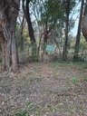 Lote 1.jpg