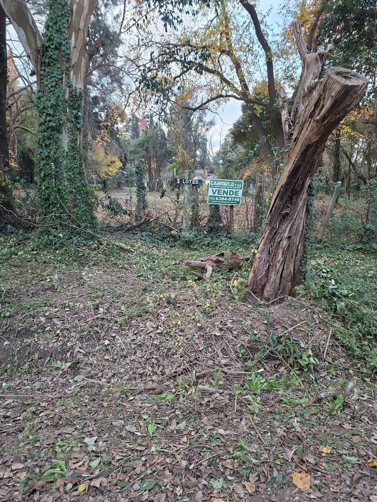 Lote 2.jpg