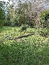 Mocoreta 2500 7.webp