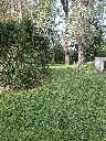 Mocoreta 2500 9.webp