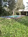 Mocoreta 2500 4.webp