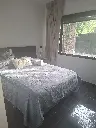 Mocoreta 2500 10.webp