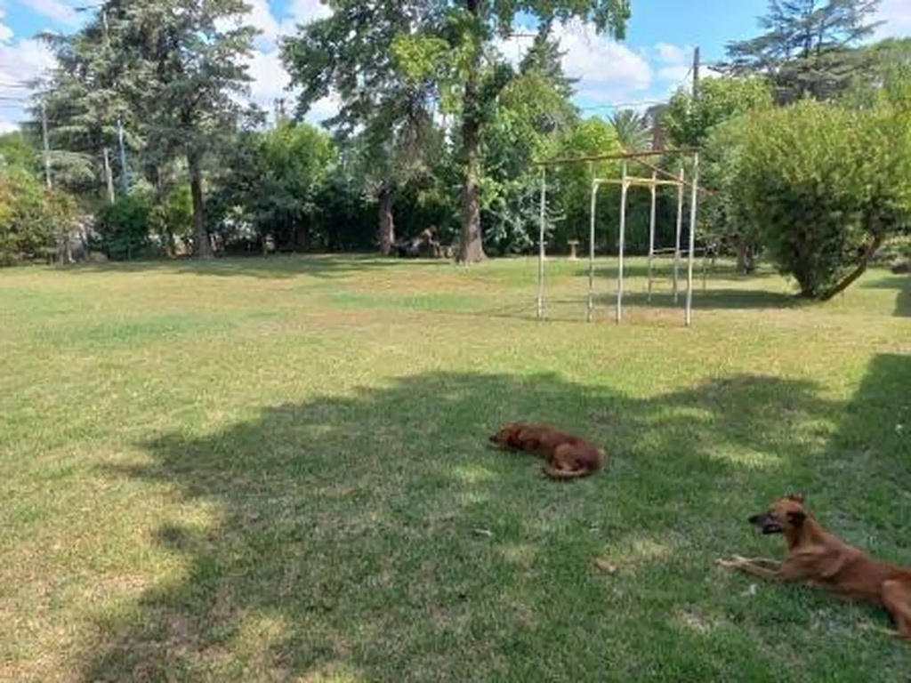 Ruta 26 (R.Favaloro1800)_2