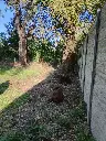 IMG-20250514-WA0008.webp