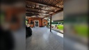 Araucanos_3.webp