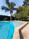 Araucanos_7.webp