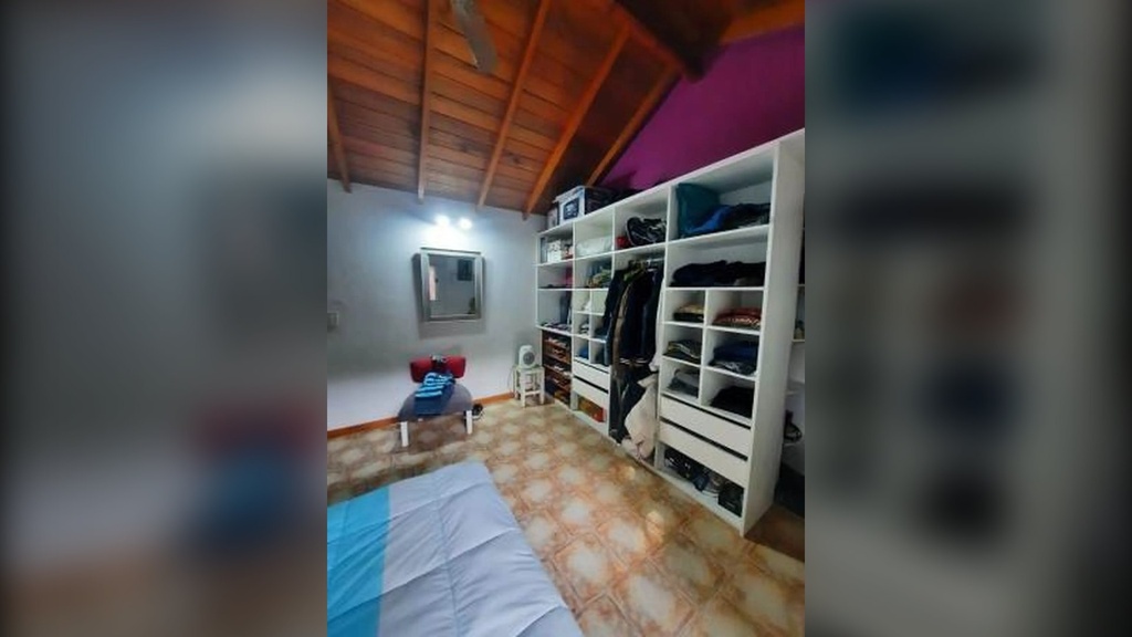 Araucanos_11.webp