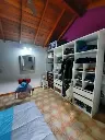 Araucanos_11.webp