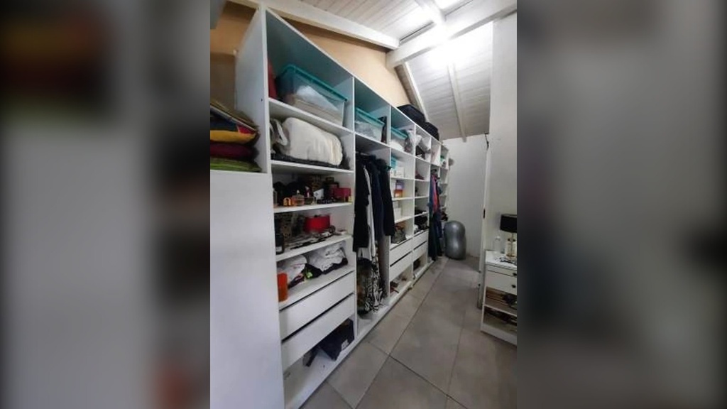 Araucanos_14.webp