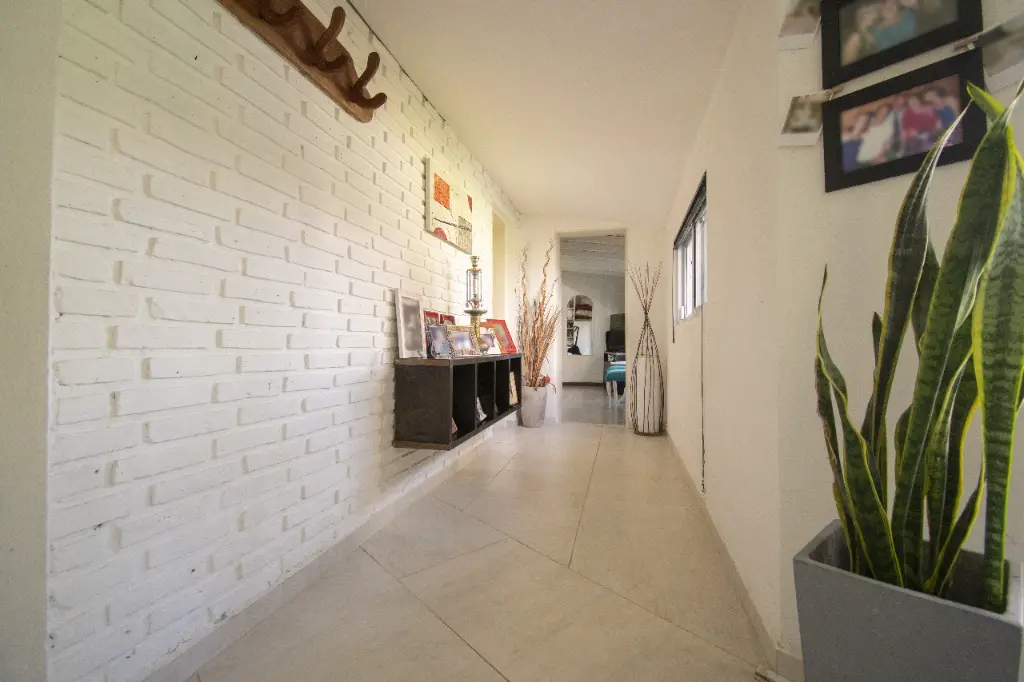 Araucanos 1200_1.webp