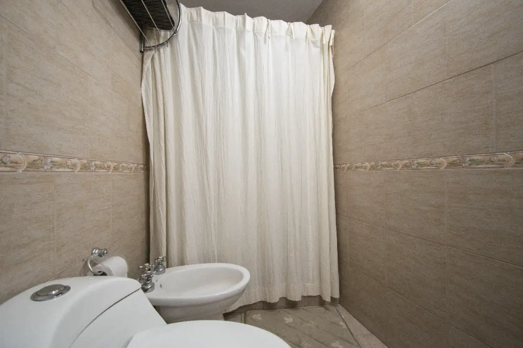 Araucanos 1200_3.webp