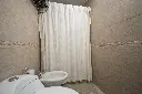 Araucanos 1200_3.webp
