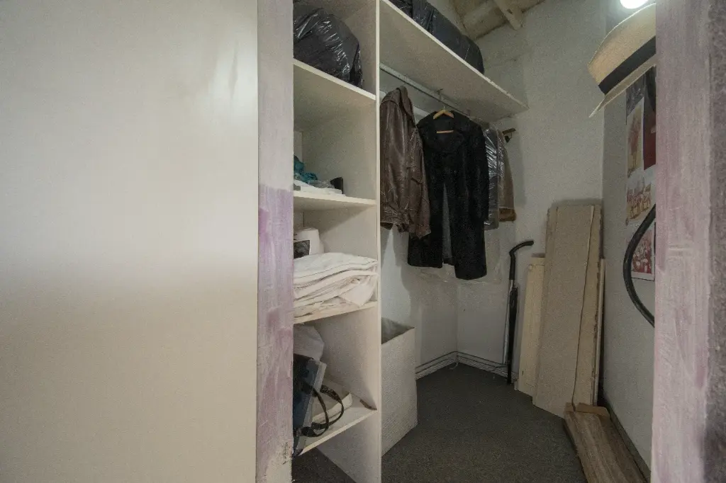 Araucanos 1200_4.webp