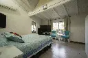 Araucanos 1200_5.webp