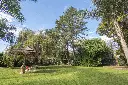 Araucanos 1200_11.webp