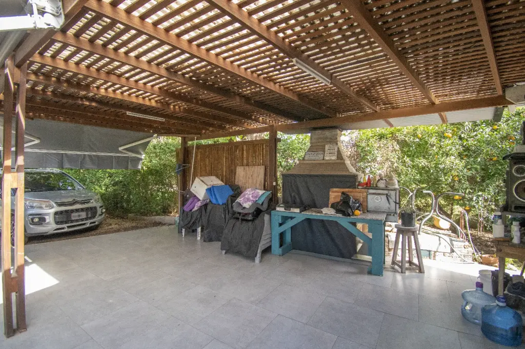 Araucanos 1200_12.webp