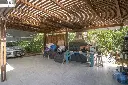 Araucanos 1200_12.webp