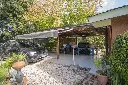 Araucanos 1200_13.webp
