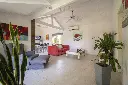 Araucanos 1200_14.webp