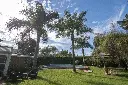 Araucanos 1200_17.webp