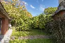 Araucanos 1200_19.webp