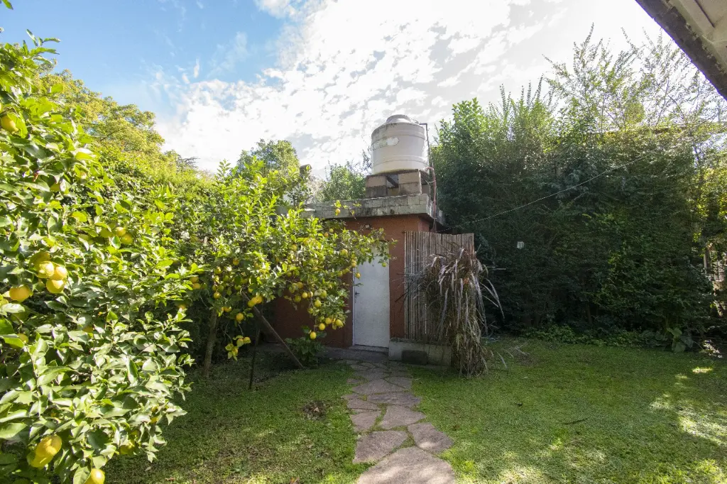Araucanos 1200_23.webp