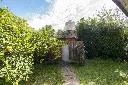 Araucanos 1200_23.webp