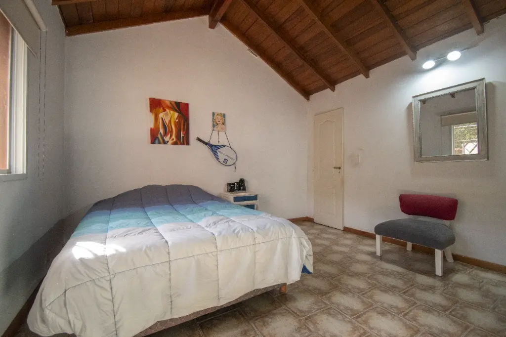 Araucanos 1200_24.webp