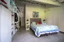 Araucanos 1200_25.webp