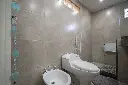 Araucanos_32.webp