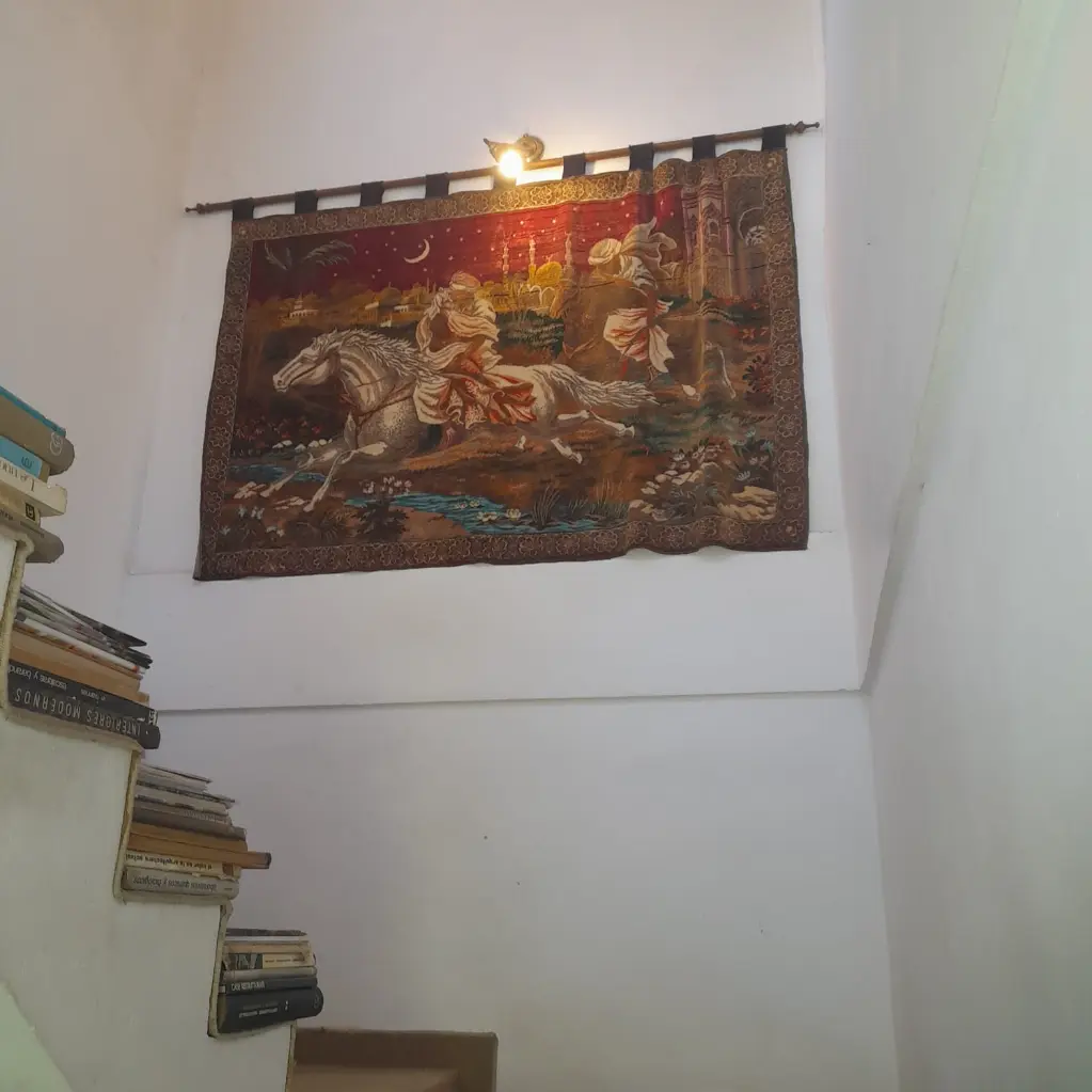 Aconcagua100 (12).webp