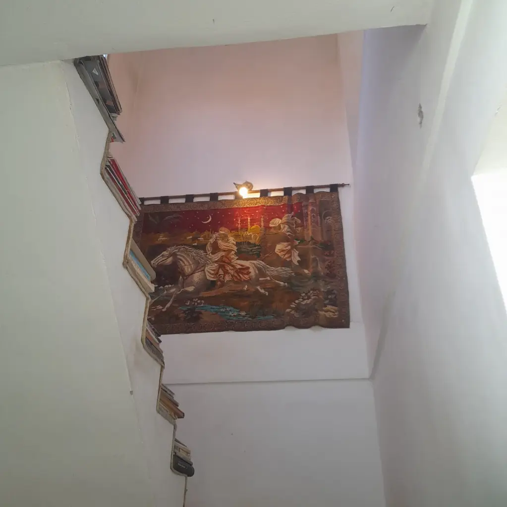 Aconcagua100 (13).webp