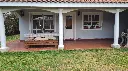 Acacias (4).webp