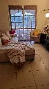 Acacias (2).webp