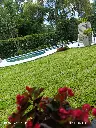 Comandante_8.webp