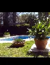 Comandante_11.webp